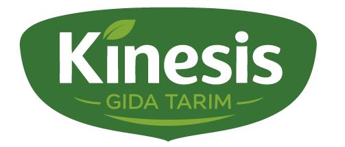 Kinesis Gıda